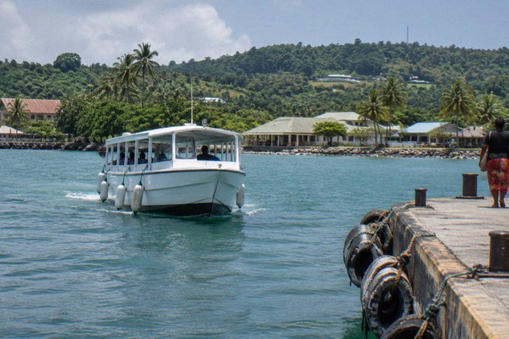 A white cruise tender boat approaching a wooden jetty in a green tropical bay