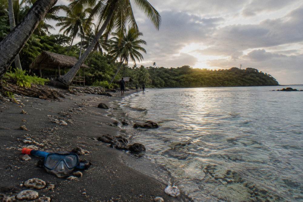 Small island beach with clear shallow water over coral and palm trees leaning over the sand