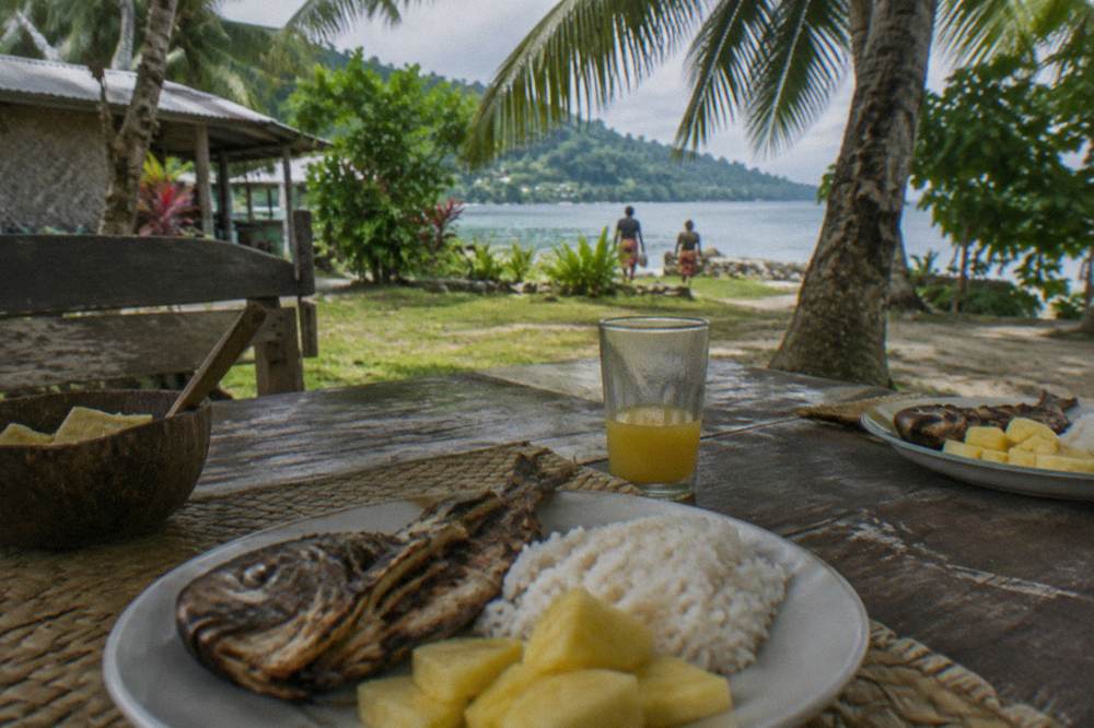 Local lunch spread of grilled fish, rice and tropical fruit on a wooden table under palm shade