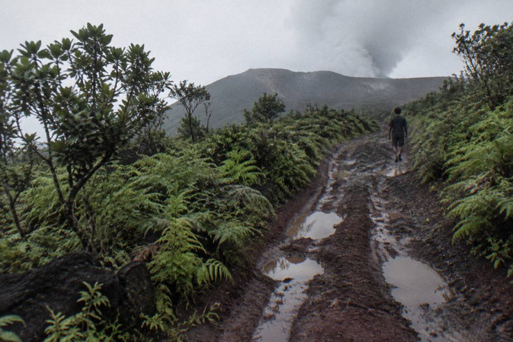 A rough four wheel drive track climbing through low green vegetation toward a volcanic ridge