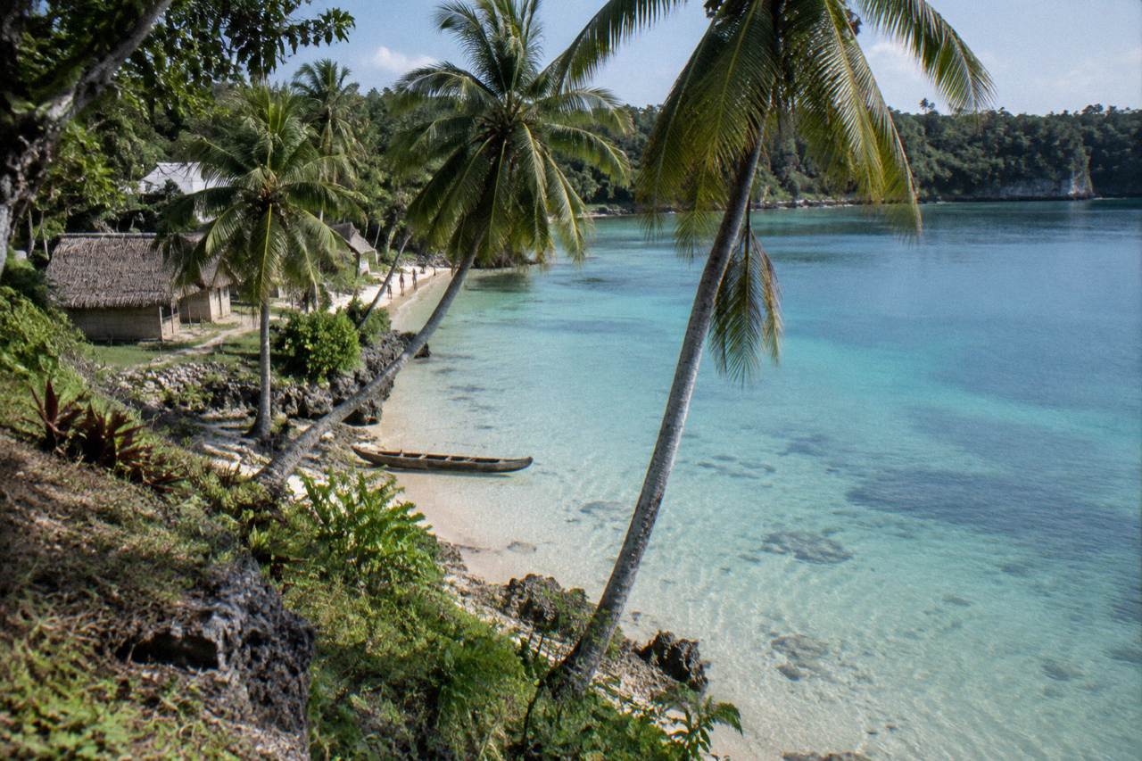 Turquoise lagoon water and palm trees on an Efate island shoreline in Vanuatu