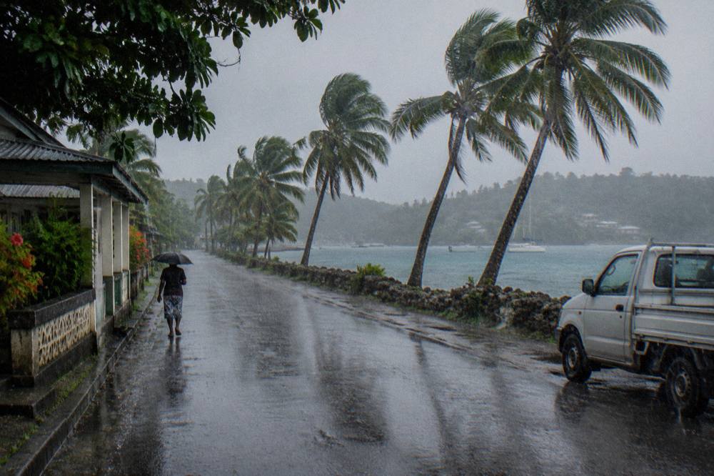 Rain falling on palm trees along a waterfront road