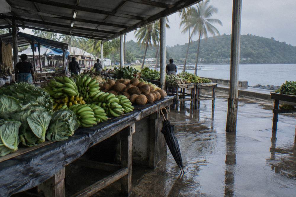 Covered market stalls with fruit and vegetables under a metal roof