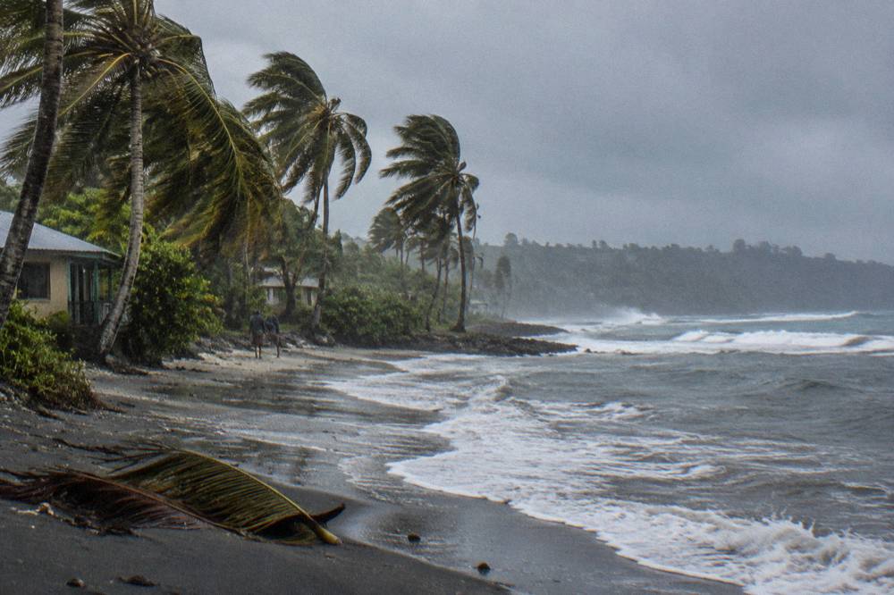 Palm trees bending under wind and rain along a grey tropical beach shoreline