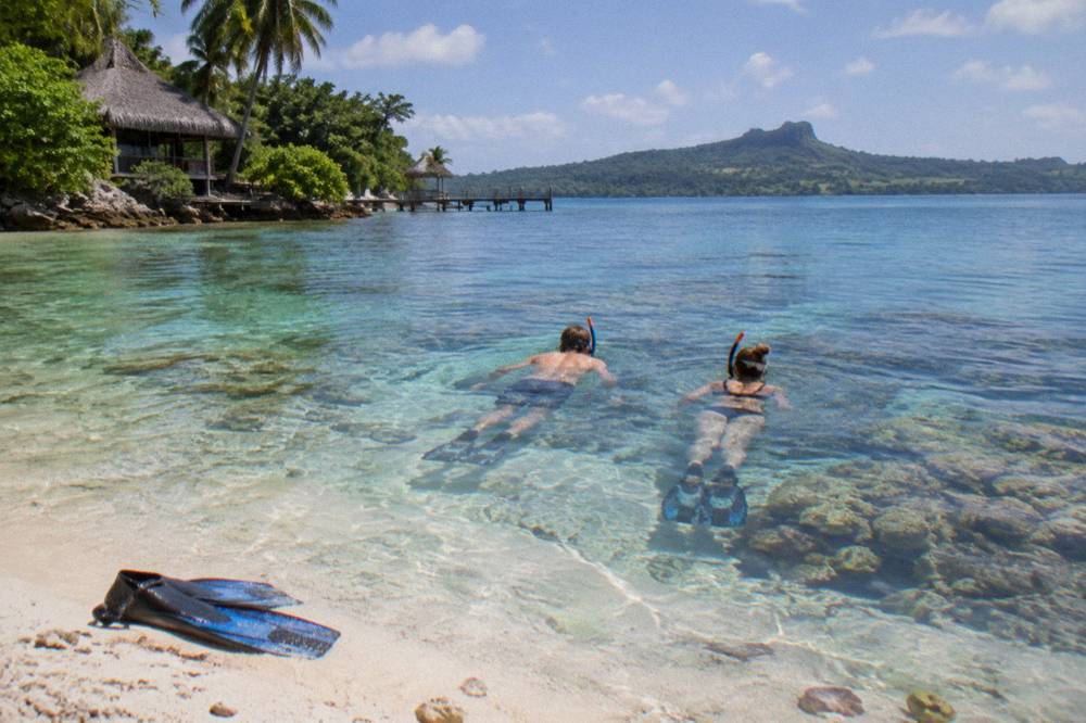 Snorkelers floating over a bright coral reef in calm clear shallow water