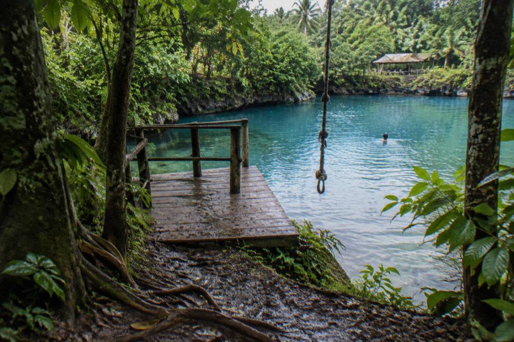 Wooden platform and rope swing over a calm turquoise freshwater pool surrounded by dense green trees