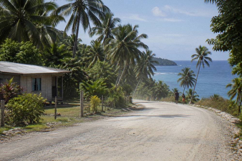 Coastal road curving past palm plantations on the east coast of Efate