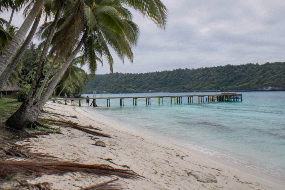 Palm trees leaning over pale sand beside calm turquoise water