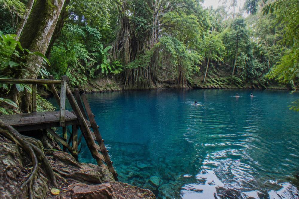 Deep clear blue freshwater pool surrounded by dense green jungle