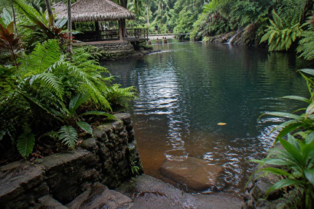 Shaded river pool and tropical gardens at a jungle swimming spot on Efate
