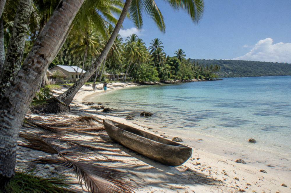 A sunny beach fringe with palm trees and clear shallow water