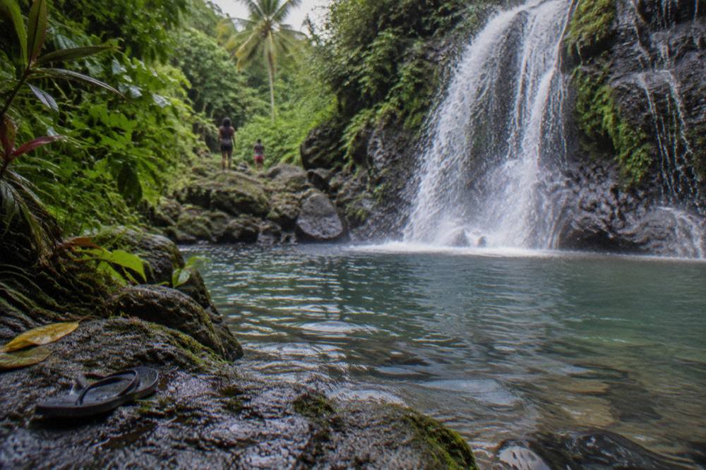 A clear freshwater pool at the base of a jungle waterfall, surrounded by mossy rock and dense green bush