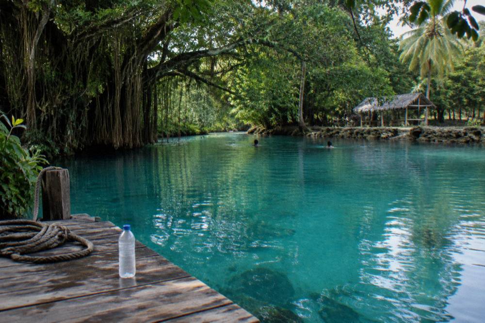 Turquoise lagoon water ringed by trees with a wooden platform at the edge