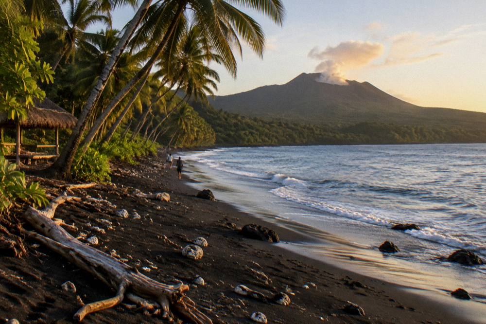 A coastal scene on Tanna Island with dark volcanic sand and palm trees