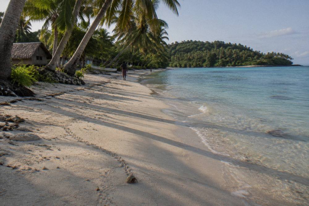 Palm trees over a narrow sand beach beside calm turquoise shallows.