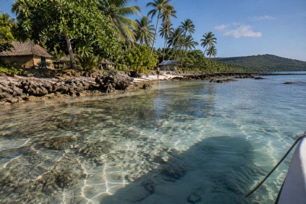 Clear shallow water over coral with a sandy bottom near a small island shore.