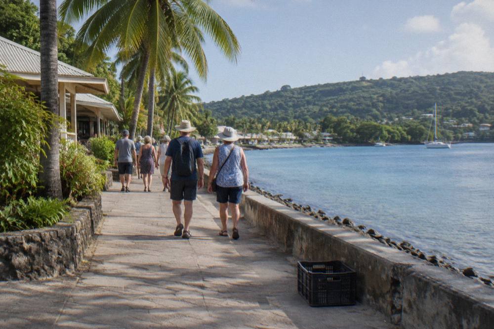 Cruise passengers walking along a waterfront promenade beside palm trees and a calm bay