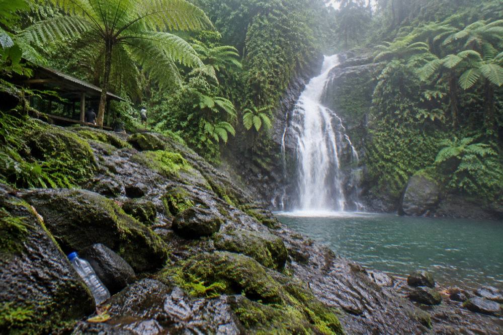 Waterfall dropping into a jungle pool surrounded by dense green tropical vegetation