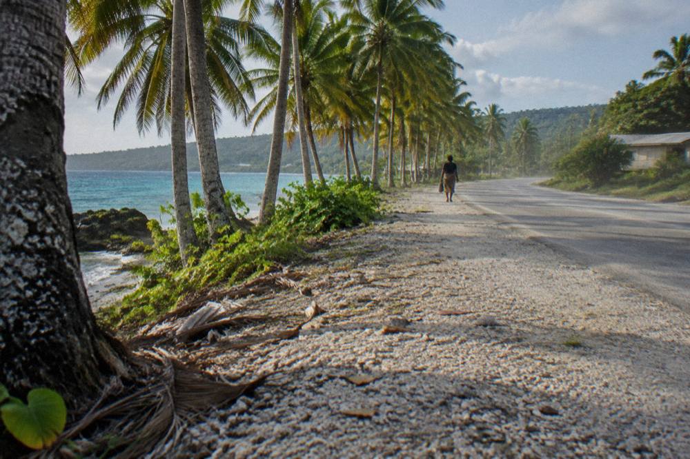 Coastal road curving along Efate between palm trees and the sea