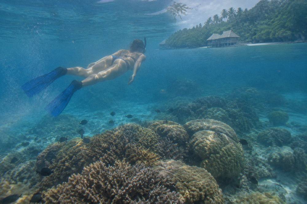 Snorkeller floating above coral reef in calm blue sanctuary water