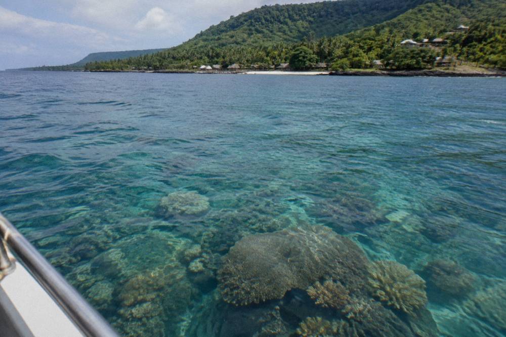 Coral reef and tropical fish in shallow clear water seen from above