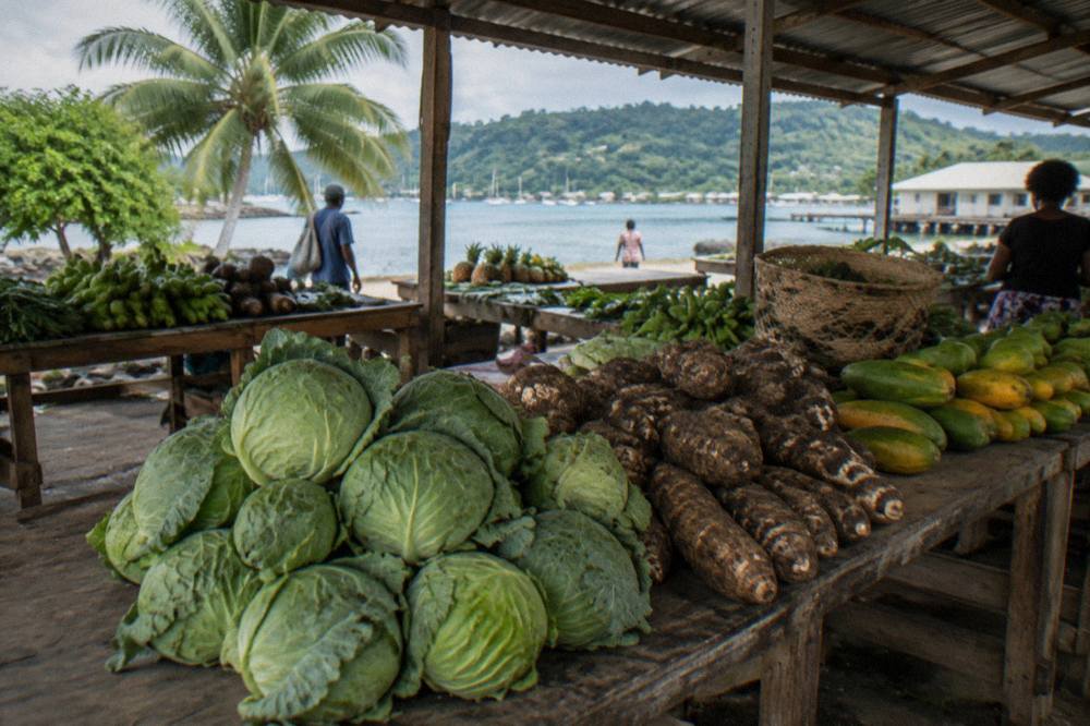 Covered produce market stalls with piles of tropical fruit and vegetables under a tin roof