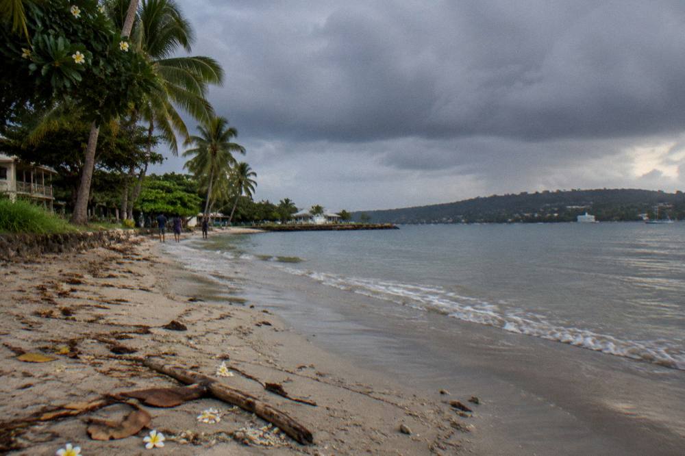 Palm-lined beach near Port Vila under a partly cloudy tropical sky