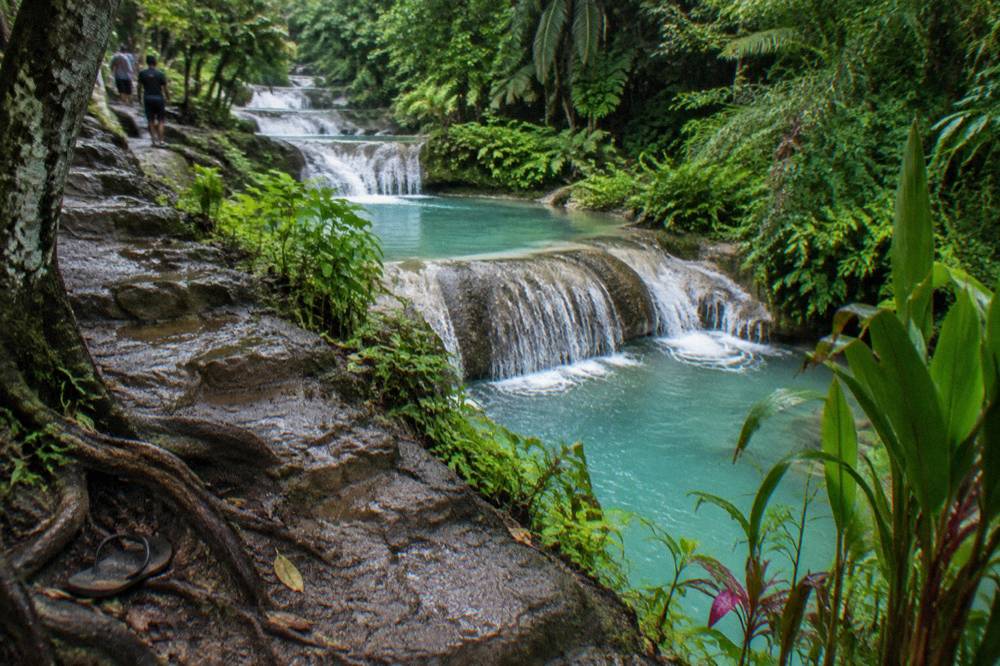 A turquoise freshwater lagoon surrounded by dense green jungle and a wooden jumping platform