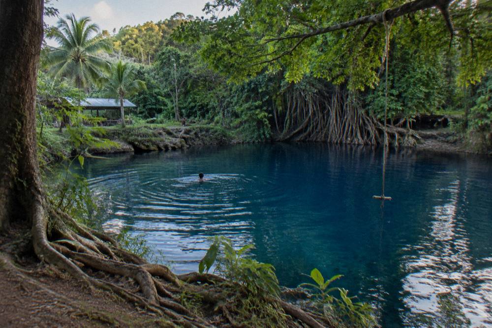 A deep blue freshwater pool ringed by jungle trees with a rope swing over the water
