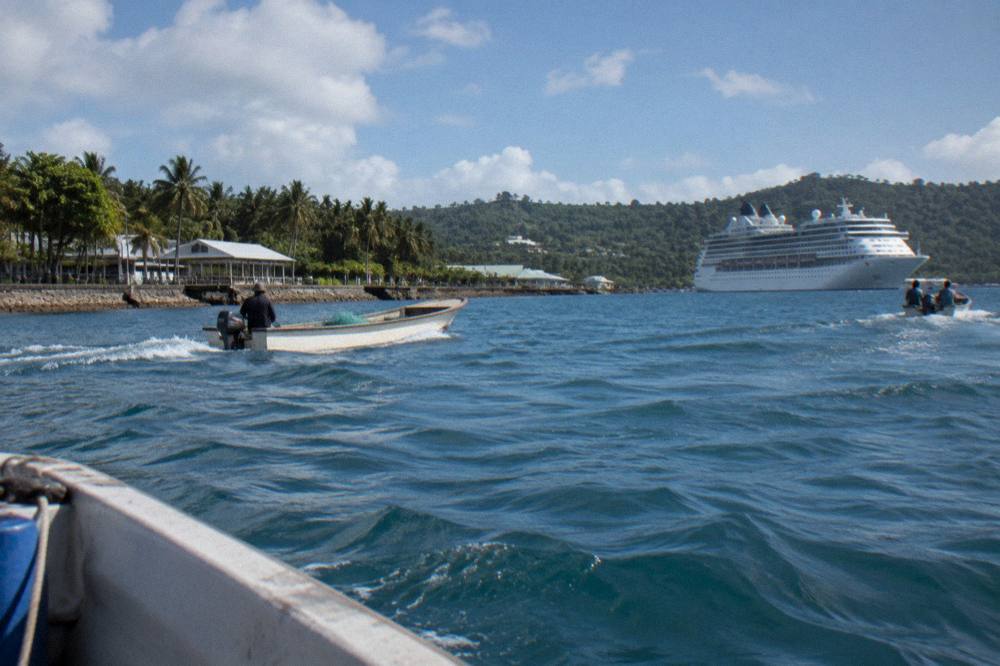 A cruise ship at anchor beyond a palm-lined waterfront with small boats in the foreground